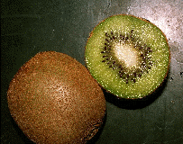 new zealand kiwifruit - hayward variety